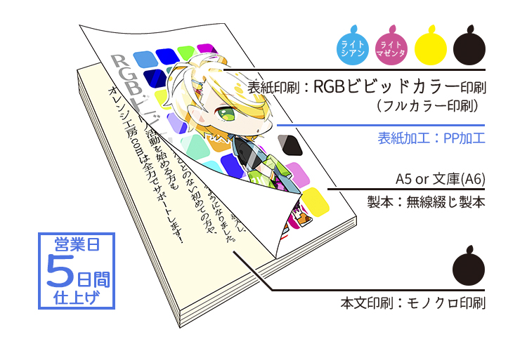 RGBӥӥåɥ顼ǡ۾PPåȡɽե륫顼×ʸΥ