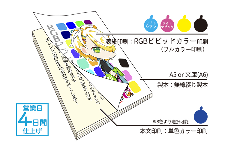 RGBӥӥåɥ顼ǡ۾ܥåȡɽե륫顼×ʸñ顼