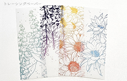 �ȥ졼���󥰥ڡ��ѡ�74��