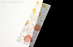 �ȥ졼���󥰥ڡ��ѡ�74��