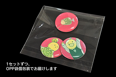 ¤×¤Ã¤¯¤ê¥É¡¼¥à¥·¡¼¥ë