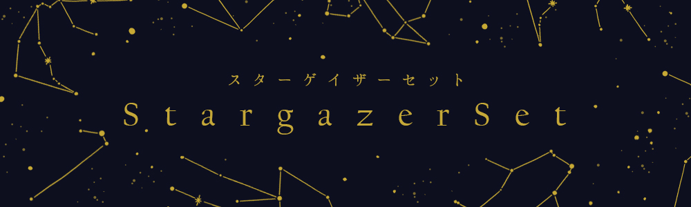 ¥¹¥¿¡¼¥²¥¤¥¶¡¼¥»¥Ã¥È