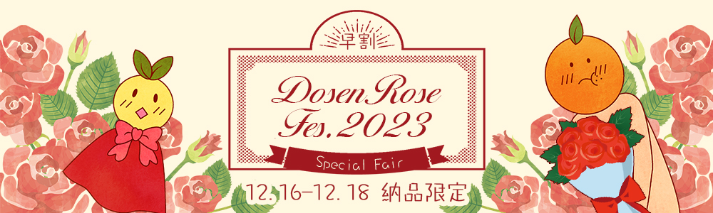 Dosen Rose FES.2023 ڥե